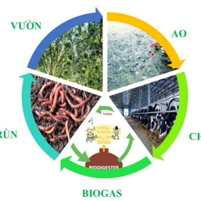 Mô hình VACB cải thiện kinh tế, giảm ô nhiễm môi trường