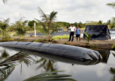 XỬ LÝ BÙN AO NUÔI TÔM BẰNG HẦM BIOGAS